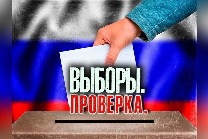 Кандидаты в Борзе просят СК проверить результаты выборов на нарушения