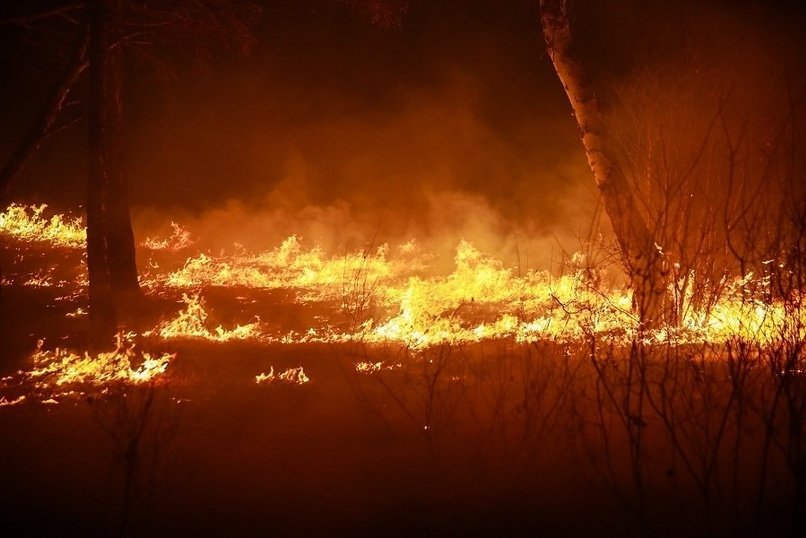 Лес горит на площади 10 гектаров в Забайкалье