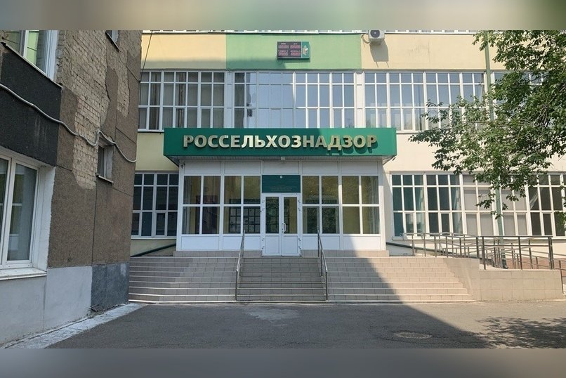 Крупный очаг наркосодержащей растительности выявили в Забайкалье (18+)