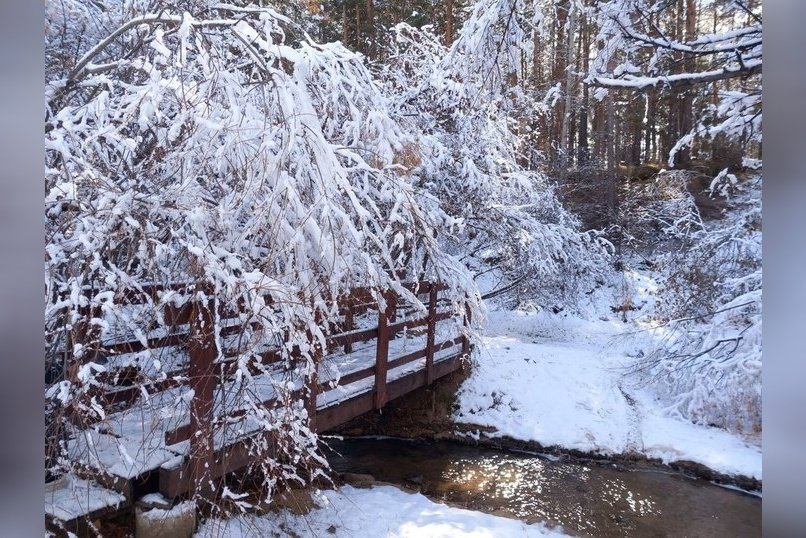 Сильный снег обрушится на Забайкалье