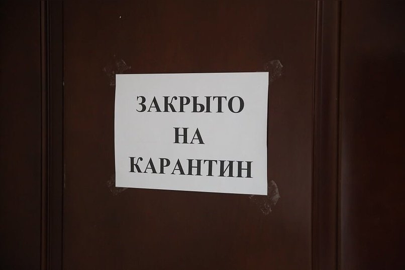 В соседнем с Забайкальем регионе ввели карантин из-за бешенства