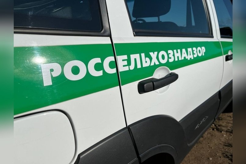 Россельхознадзор в Забайкалье проверил более 300 тысяч срезанных цветов из Китая