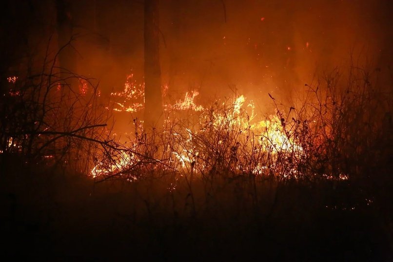 Восемь лесных пожаров остаются действующими в крае