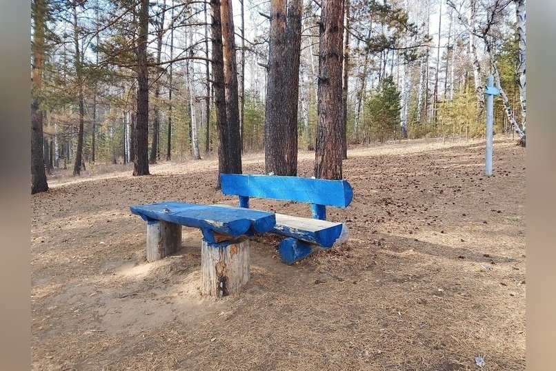 Тридцать кемпингов создадут в Забайкальском крае