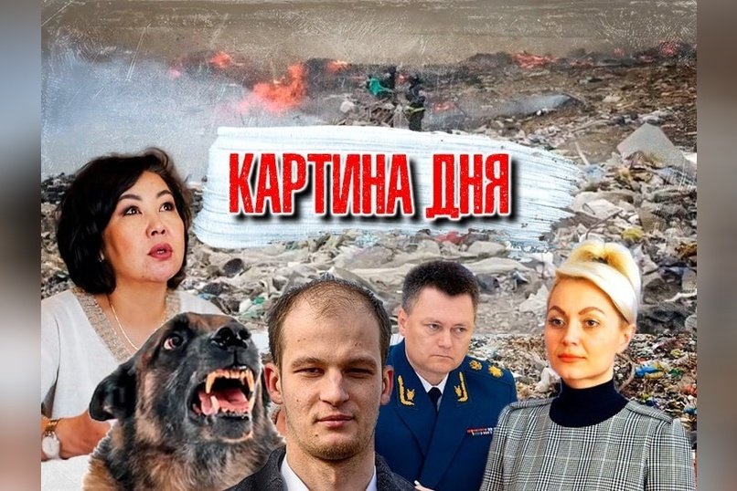 Картина дня: лишение степени, сроки чиновникам, эвтаназия собак, кража 900 млн и высокие зарплаты