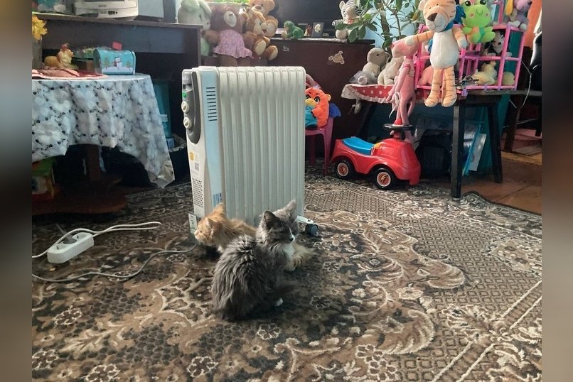 Продажи обогревателей в ДФО выросли на 75% на фоне похолодания