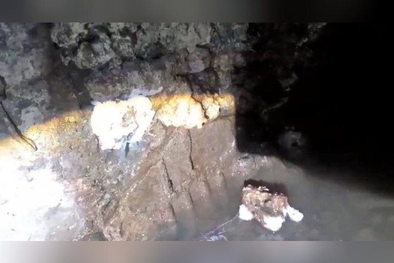 Жители улицы Ползунова бьют тревогу из-за затопленного подвала