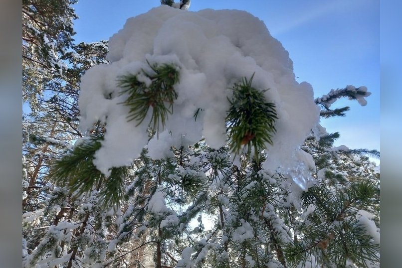 Гороскоп для жителей Забайкальского края на 7 ноября