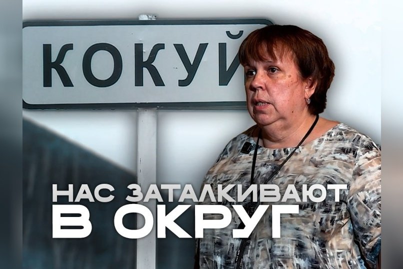 Депутат Панина: «Наша районная администрация не готова быть окружной»