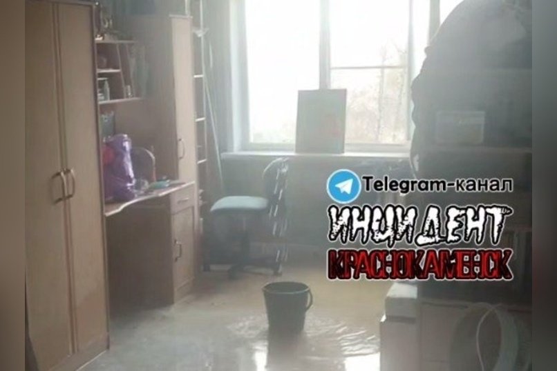 В затопленных квартирах Краснокаменска начали расти грибы