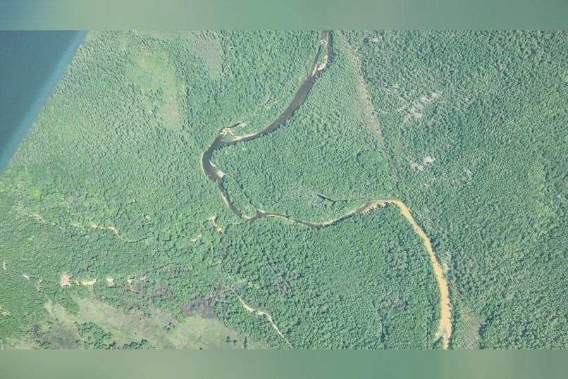 Загрязнение на реке Большая Чичатка выявили с помощью аэросъемки