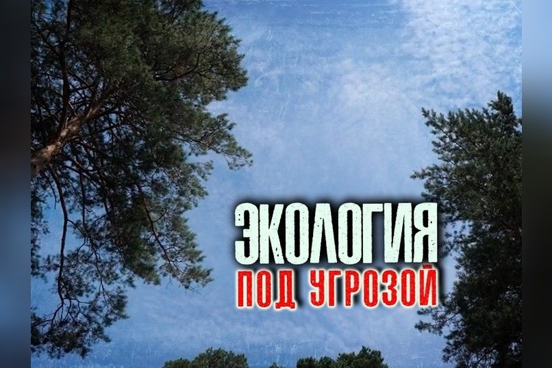 Экоорганизация в Чите может закрыться из-за отсутствия финансирования