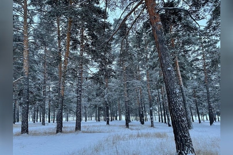 Погода без осадков ожидается завтра в Забайкалье