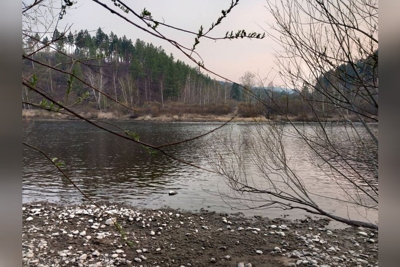 Вода в некоторых водоемах региона опасна для здоровья