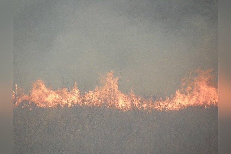 Число степных пожаров растёт в Забайкалье