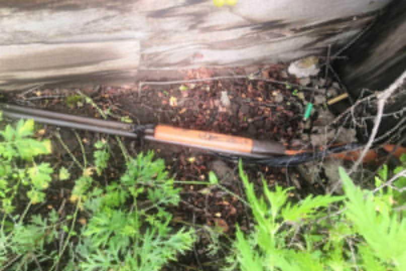 Забайкальцев заперли в подполье и угрожали оружием