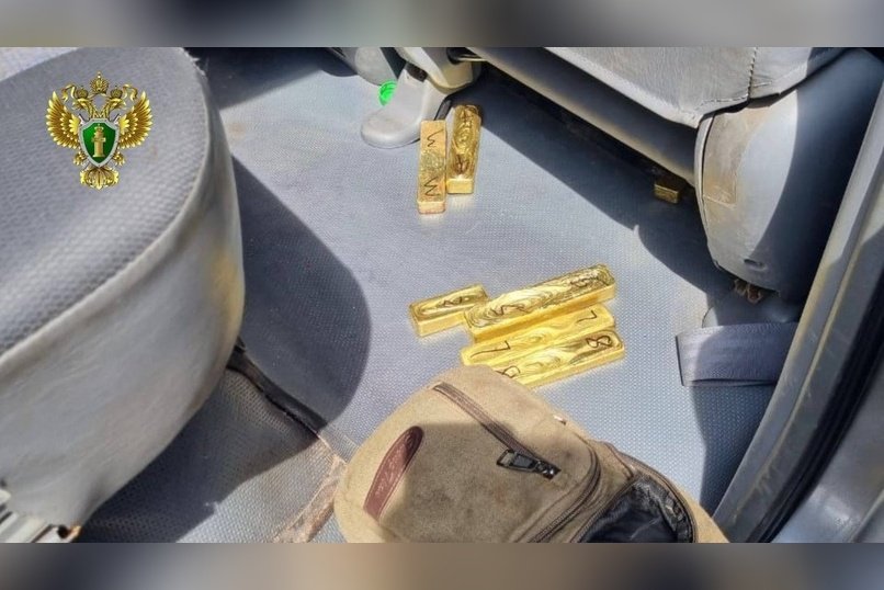 Иностранцы пытались провезти через Забайкальск 11 слитков золота
