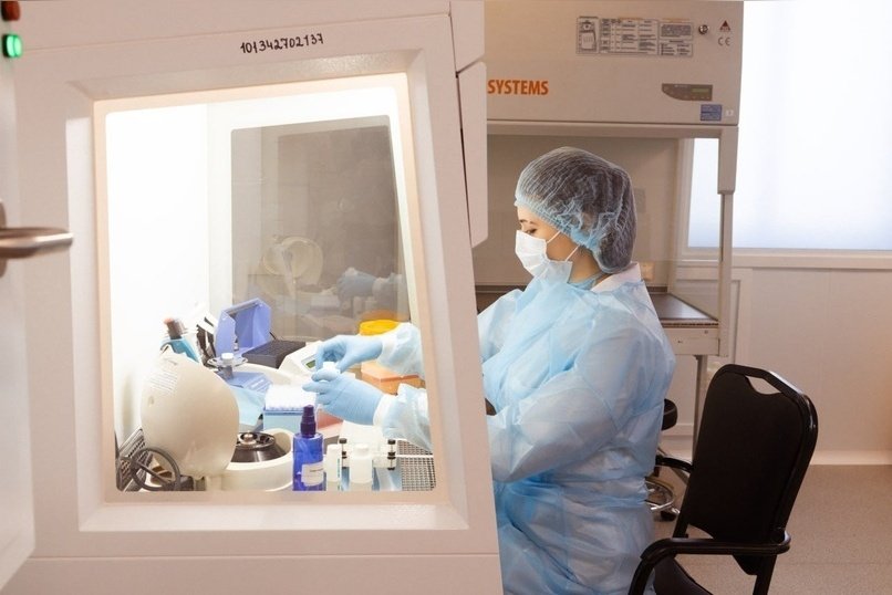 В котлетах обнаружили ДНК курицы