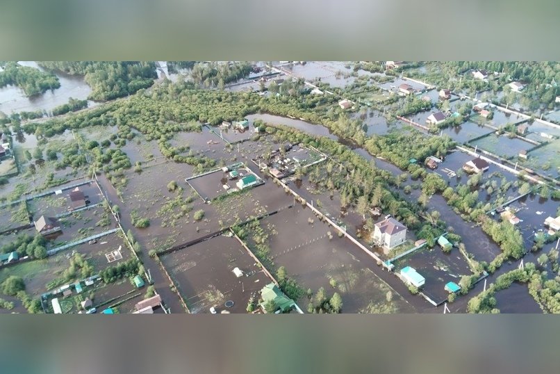 Минприроды: уровень воды в СНТ «Шишкино-Остров» начал снижаться