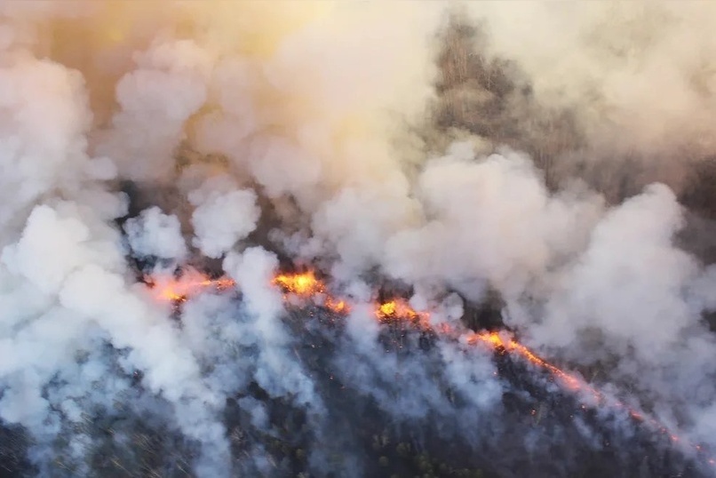 Несколько лесных пожаров действуют в Забайкалье