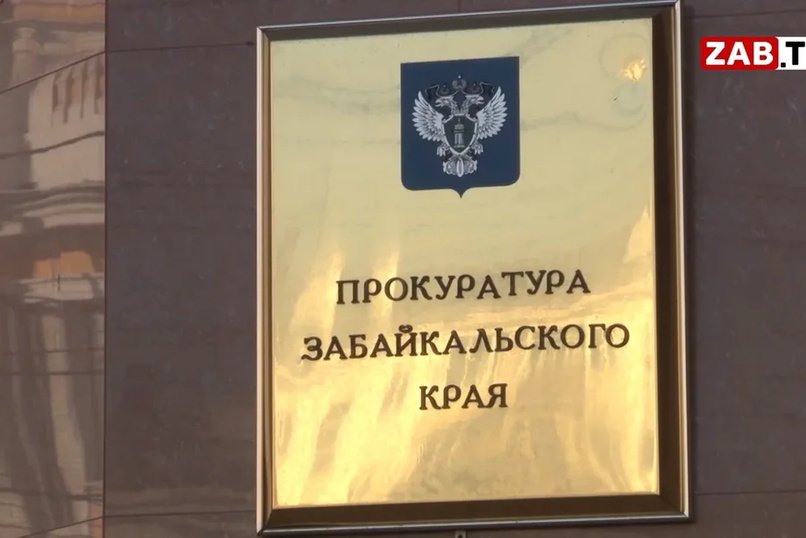 Забайкальцу грозит пожизненное за убийство беременной сожительницы выстрелом в голову (18+)