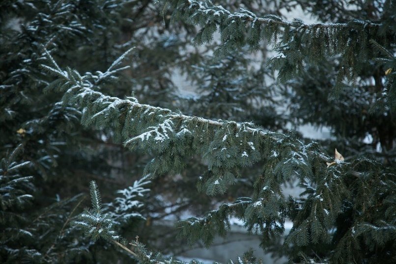 До минус 34 градусов опустится температура в Забайкалье