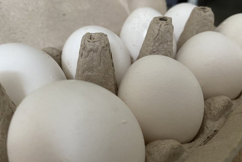 Читинские яйца скоро окажутся на полках магазинов
