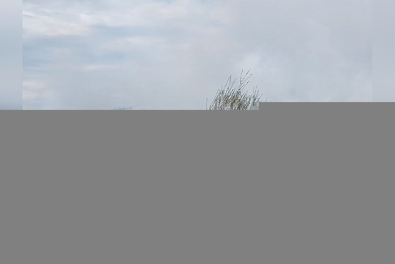 «Забайкалье в огне»: между селами Новотроицк и Ильинка пылает сопка