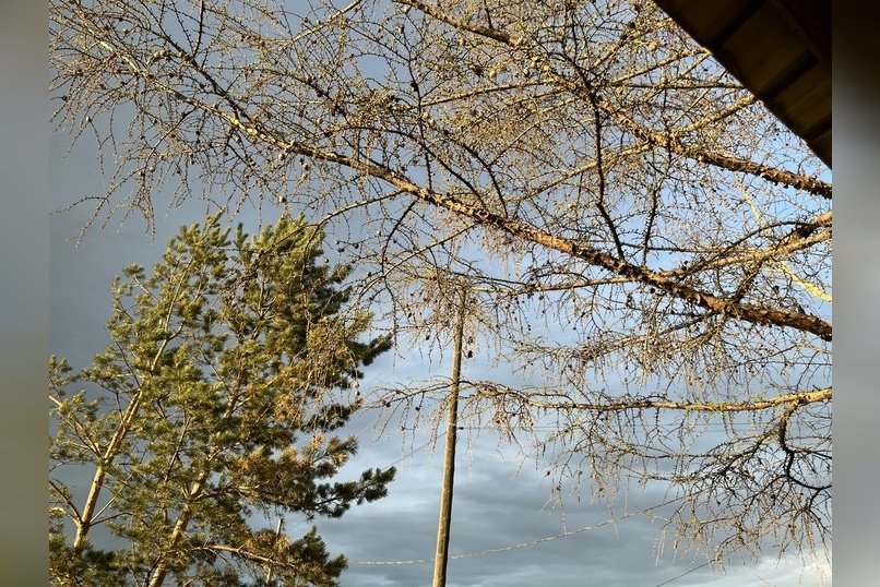 Синоптики в Петровск-Забайкальском пользовались искажёнными данными о состоянии атмосферы