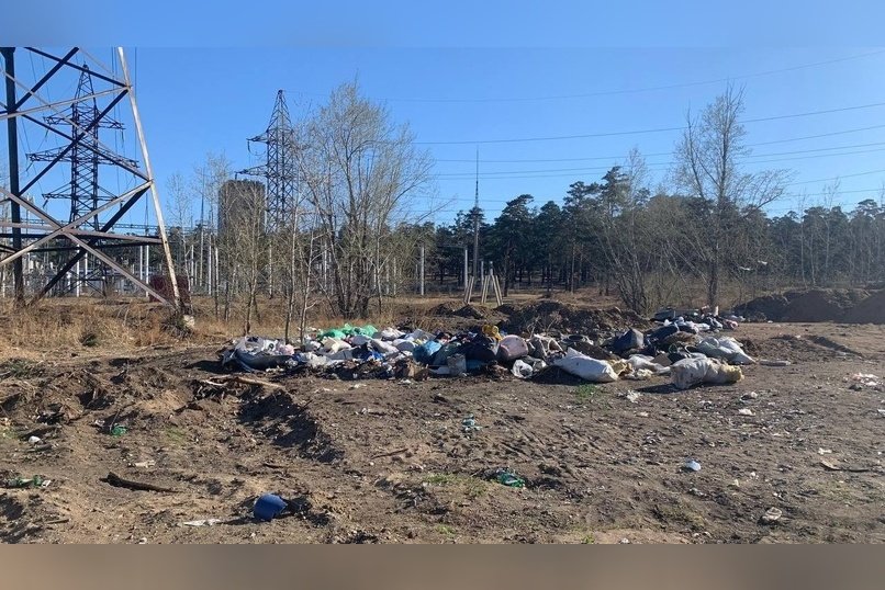 Суд обязал ликвидировать свалку биологических отходов под Читой