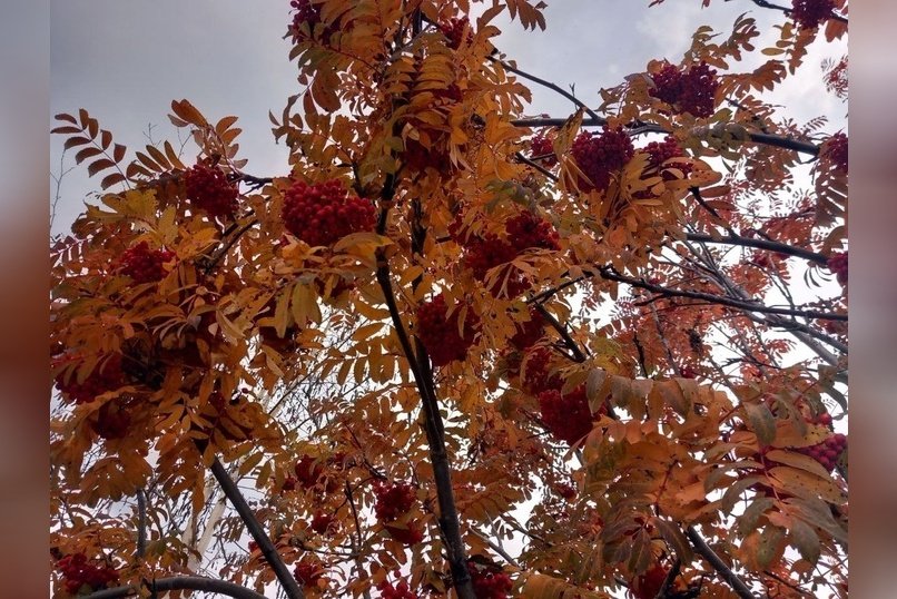 Гороскоп для жителей Забайкальского края на 3 ноября