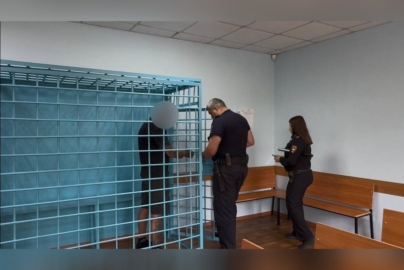 Обвиняемого в попытке изнасилования девушки заключили под стражу (18+)